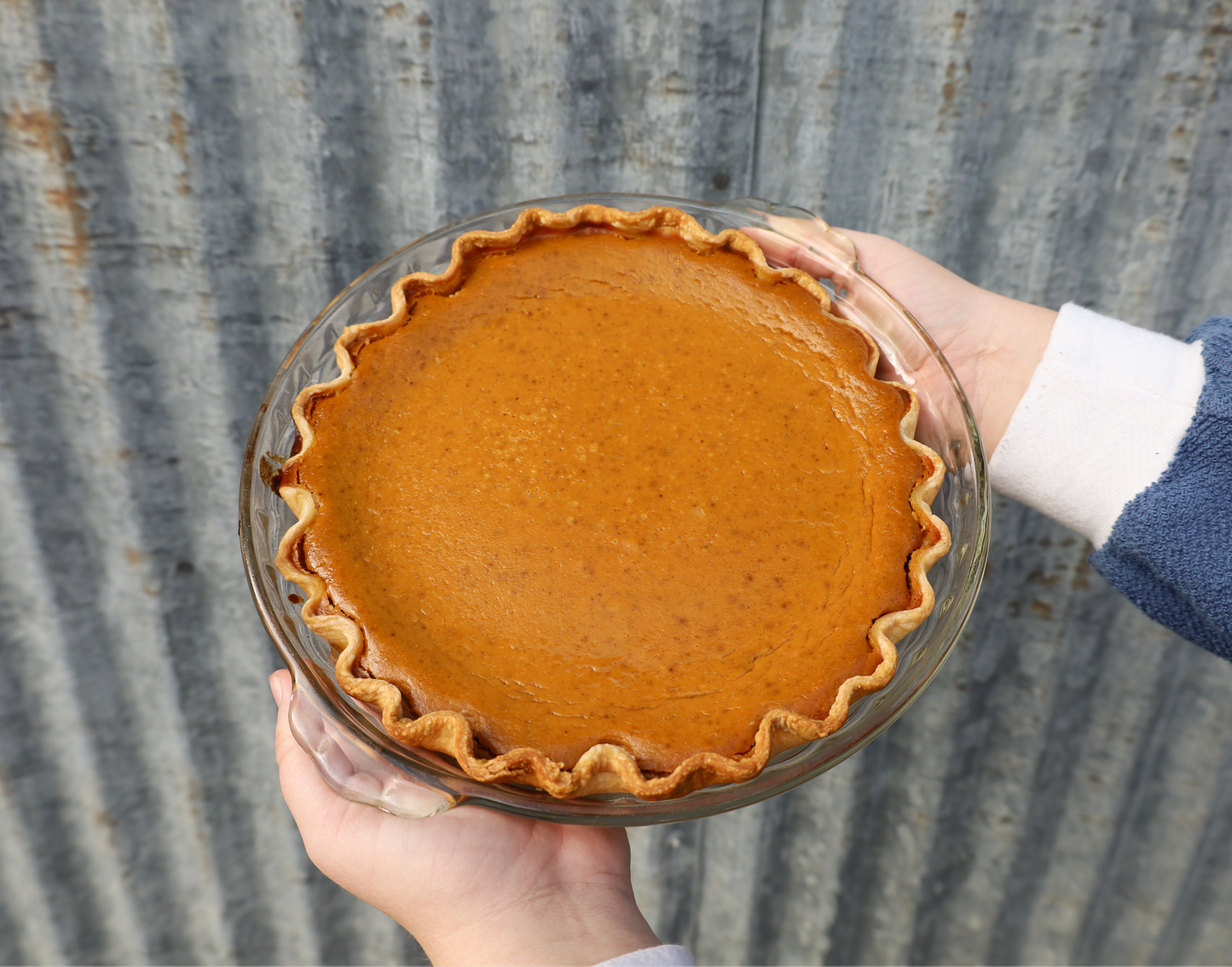 Pumpkin Pie